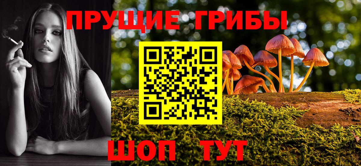 Галлюциногенные грибы Psilocybe  Галлюциногенные грибы Psilocybine cubensis  Нововоронеж  Вход с VPN 